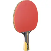 Dunlop Raquette De Tennis De Table Revolution 5000