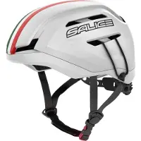 Salice Casque Ice