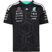 Adidas T-Shirt fonctionnel 'Mercedes-AMG Petronas Formula 1 Team' turquoise / noir / blanc
