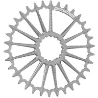 Garbaruk Mtb Dm Boost Chainring Argenté 32t