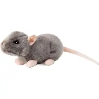 Tobar Animigos Monde De La Nature Rat Couineur