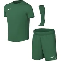 Nike Garçons, T-shirt de sport, Nike Komplet sportowy dla dzieci Nike Dri-Fit Park VIII zielony HV8260 302 L (L), Vert, L