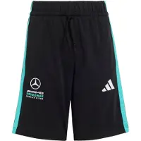 Adidas Pantalon de sport 'Mercedes-AMG Petronas Formula 1' turquoise / noir / blanc