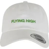 Mister tee Casquette ' Flying High ' vert / blanc
