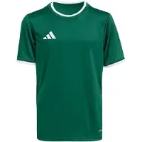 Adidas T-Shirt fonctionnel 'ENT26' vert foncé / blanc