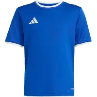 Adidas T-Shirt fonctionnel 'ENT26' bleu roi / blanc