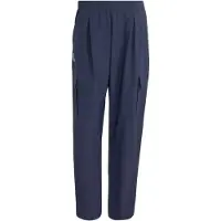 Adidas Pantalon outdoor 'Xploric' marine