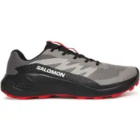 Salomon Alphaglide Trail Running Shoes Gris EU 44 2/3 Homme