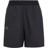 Adidas Short Terrex Multi Clima365