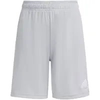 Adidas Pantalon de sport 'Ent26' gris clair