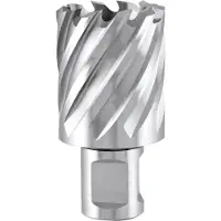 RUKO Carottier diamètre 24mm HSS-Co longueur 30mm Weldon - 108224E