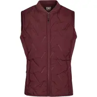 Trespass Miran Vest Violet M Femme