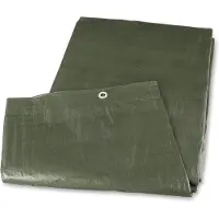 OEM Bâche d'ombrage multifonctionnelle résistante à la moisissure, 4 x 5 m, verte, 90 g/m², en PE-PP, avec œillets en aluminium, imperméable, pour voiture, meubles de jardin, bateaux