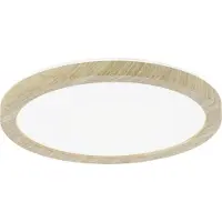 Paulmann Panneau LED Atria Shine