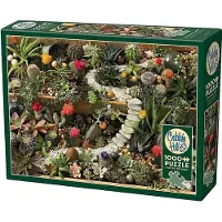 Cobble Hill Puzzle 1000 Succulentes dans le jardin