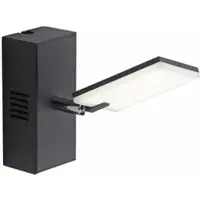 Paul Neuhaus Lampe murale LED Pure Mira Switch - Black Pearl
