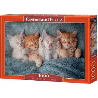 Castorland Puzzle Chatons Mignons - 1000 pièces