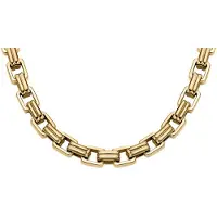 Fossil Collier - FO.JF04954710