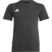 Adidas Team Short Sleeve T-shirt Noir 9-10 Years Enfants