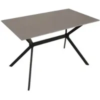 Mendler Table de salle à manger HWC-O58, table à manger en pierre frittée métallique, aspect marbre 120 cm gris