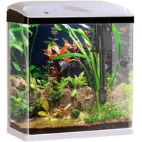 SWEETYPET Aquarium Complet Avec Pompe, Filtre Et Éclairage Led - 25 L
