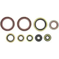Holeshot Ktm 2008-2011 450 Exc-f Oil Seals Kit Argenté