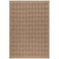 Carpetsale24 Tapis Intérieur Extérieur Tissage Plat Aspect Sisal Naturel Imperméable Style Scandinave Boho, Taille: 200x290 cm