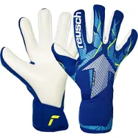 Reusch Fastgrip Advance Goalkeeper Gloves Bleu 9