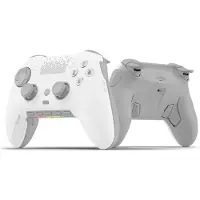 Scuf Envision Pro (PC), Manette, Gris, Blanc