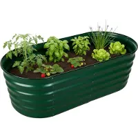 Relaxdays Jardinière surélevée , métal galvanisé, fleurs, plantes et légumes, H x l x P : 45 x 150 x 60 cm, jardinière ovale, verte
