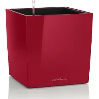 Lechuza Cube Premium 50 - Kit Complet, Rouge Scarlet Brillant 50 Cm