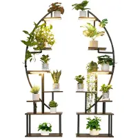 Vevor Support Plantes Intérieur avec Lampe de Croissance
