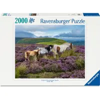 Ravensburger Puzzle Chevaux sauvages dans la bruyère - 2000 pièces.