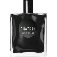 Pierre Guillaume Aqaysos Eau de Parfum 100 ml