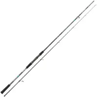Kali Kunnan Stoker Jigging Rod Argenté 3.00 m / 40-120 g