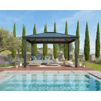 Palram - Canopia Gazebo de jardin 425,5x363,5cm gris - - 705938 - dallas