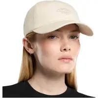 Dickies Duck Canvas Dad Cap Blanc