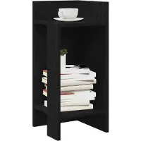 vidaXL Tables d'appoint 2 pcs avec étagère noir 25,5x27x60 cm