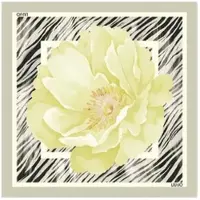 Liu Jo Écharpe '2A6053 T2745' jaune clair / gris clair / noir