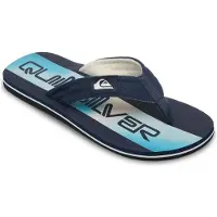 Quiksilver Tongs MOLOKAI LAYBACK (BKJ6) pour Homme