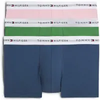 Tommy Hilfiger Um0um03889 Trunk Boxers 3 Units Multicolore S Homme
