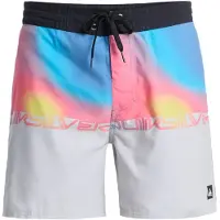 Quiksilver Everyday Half Jam 16´´ Swimming Shorts Multicolore 32 Homme