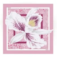 Liu Jo Écharpe '2A6053 T2745' rose clair