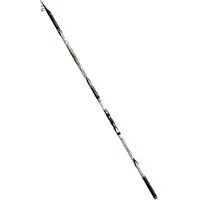 Fishing Ferrari Poseidon Bolognese Rod Multicolore 6.00 m / 45 g