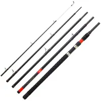 Daiwa Megaforce Big Fish canne à pêche au silure argent 2.40 m / 80-180 g argent 2.40 m