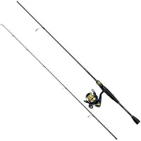 Daiwa Rs802hfsaf+rs4000 Spinning Combo Doré 2.44 m / 14-42 g