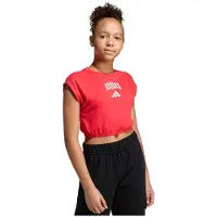 Adidas T-shirt à Manches Courtes Seasonals Collegiate Typography