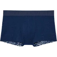 Hom Boxer court