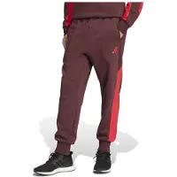 Adidas Seasonal Essentials Colorblock Pants Violet M / Regular Homme