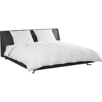 vidaXL Ensemble de couettes et oreillers , 3 pièces, blanc, en duvet